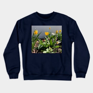 Flowering Spring Bulbs Crewneck Sweatshirt